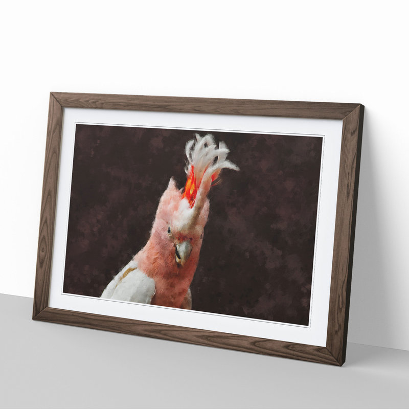 Cockatoo Bird Vol.1 - Picture Frame Graphic Art, Walnut Framed, 48cm H x 65cm W x 2cm D