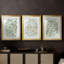Têtes de fleurs vertes I - reproduction sur mesure encadrée de qualité supérieure - 3 pièces-778436480-778436482