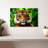 Sumatran Tiger Gaze-107471451