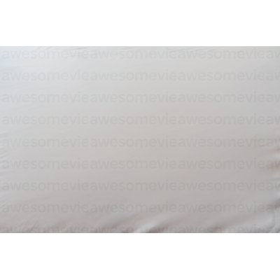 Encased Polyester Hypoallergenic Twin Mattress Protector
