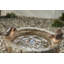 Fountain with Lights