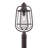 Edelina Seeded Lantern Head