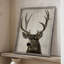 Impression encadrée Colorado Buck - bois massif