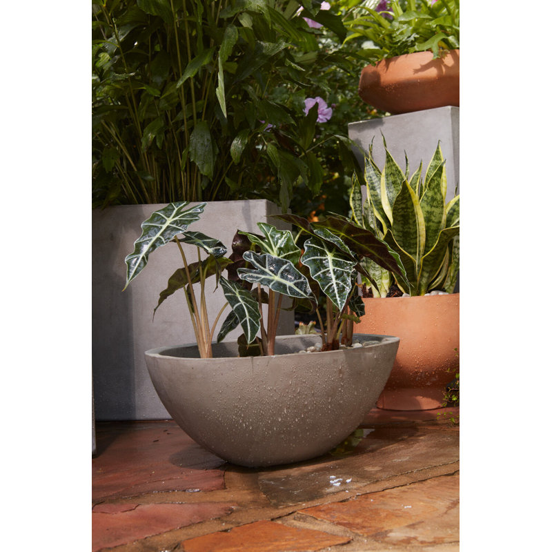 Pot à fleurs Treanor Newport, 22 po x 11 po x 8,25 po