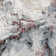 Dittmer Abstract Gray/Dark Red Area Rug