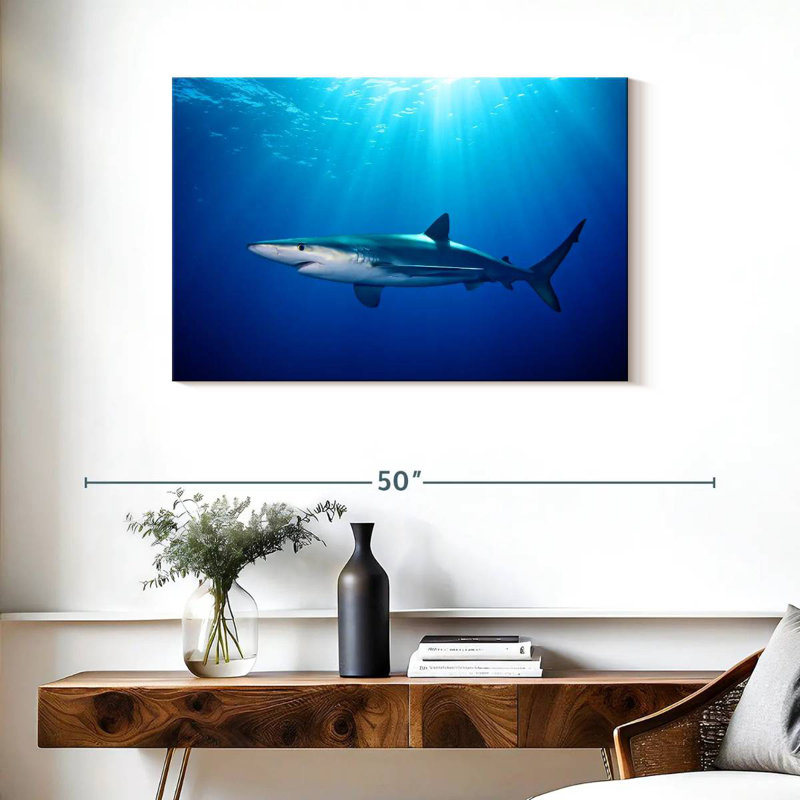 Brampt Blue Shark In Gordon's Bay