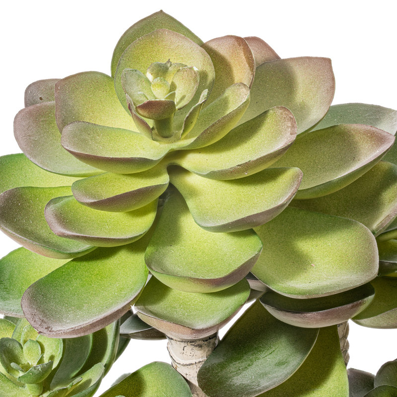 11'' Faux Succulent in Ceramic Pot