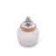 Magnolia Glass Jar-1724213176