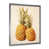 Silver Picture Framed