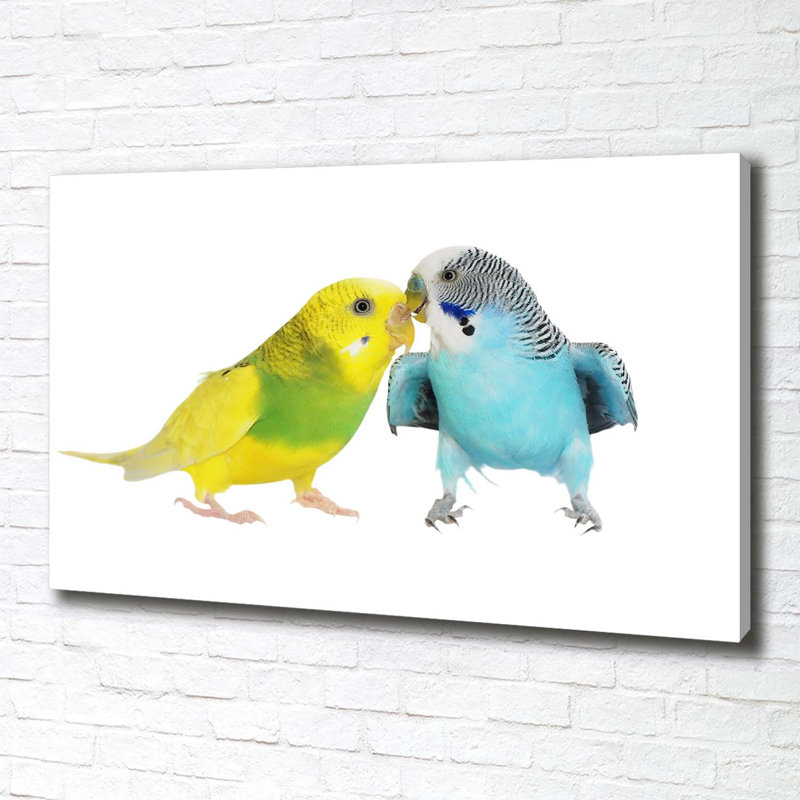 Budgies - Wrapped Canvas Print