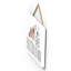 Roseman Wall Decor