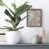 Distressed Silver Framed Canvas is unavailable