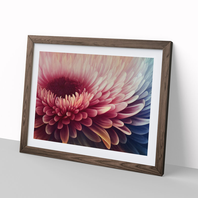Chrysanthemum Flower Vol.3 - Framed Print, 34cm H x 46cm W x 2cm D, Walnut Framed