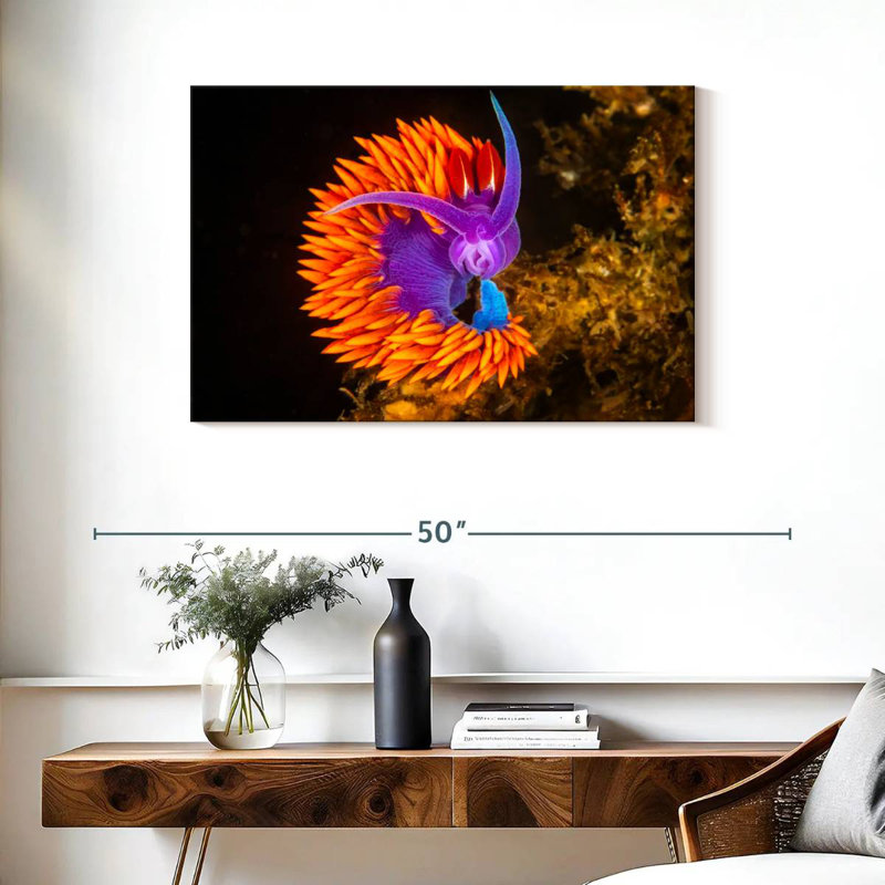 Crowle Spanish Shawl Nudibranch, 24" H x 36" W