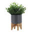 PLATEAU 5 "AVEC SUPPORT EN BOIS, GRIS MAT