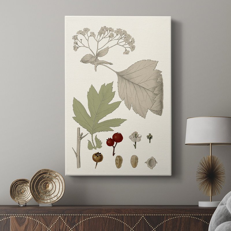 Feuilles et baies II - galerie Cavas sur mesure, H 18 po x l 12 po