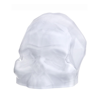 Memento Mori Faceted Skull