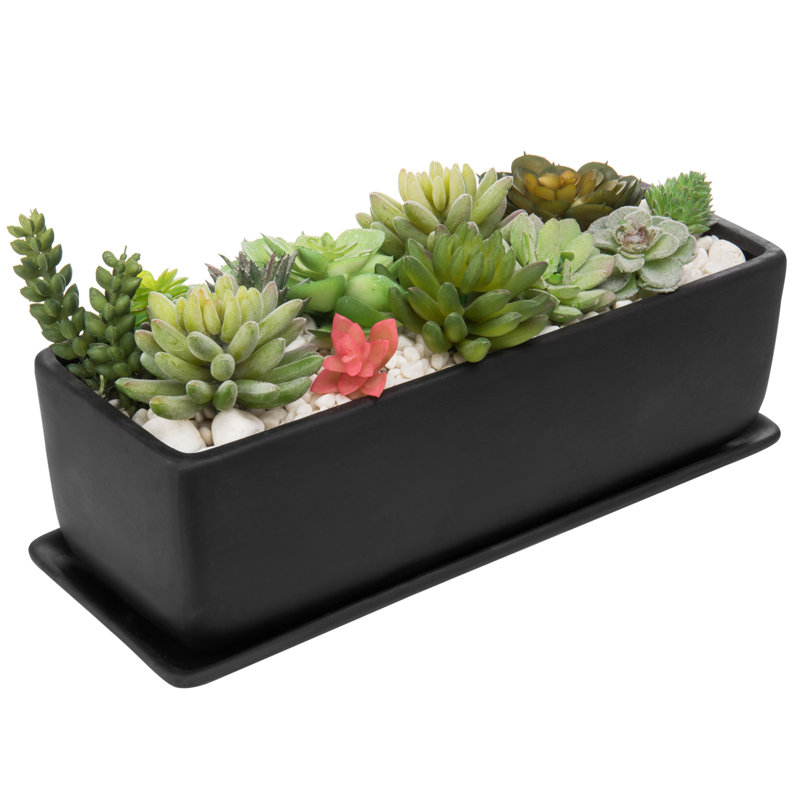 Pot Planter