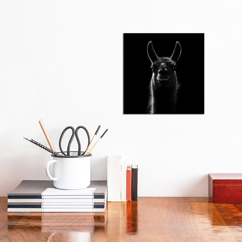 Llama In Black And White by Lukas Holas - Wrapped Canvas Print, 30.48cm H x 30.48cm W x 1.905cm D