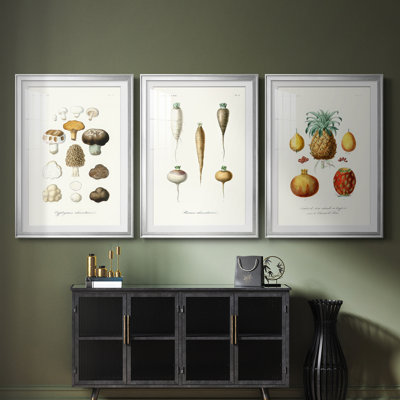 Variétés de fruits et de légumes IV - reproduction encadrée sur mesure de qualité supérieure - 3 pièces