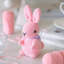 Lapins Amigurumi DIY Kit au crochet Wizardi F07N8-M172