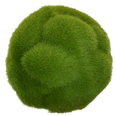3.5'' Moss Topiary