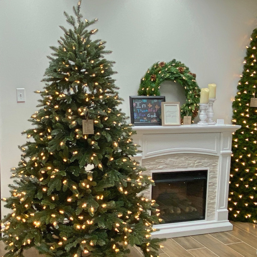 6.5' Lighted Spruce Christmas Tree The Holiday Aisle® 