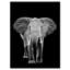 «Elephant on Dark», impression sur toile tendue-29497008