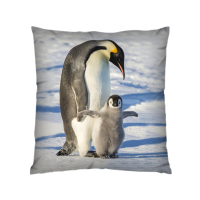 Wednesbury Square Cushion Cover