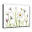 « cape marguerites »-impression sur toile tendue-29675103
