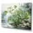 Toile tendue