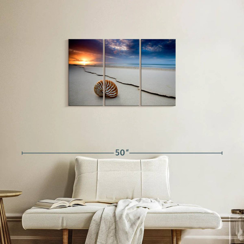 Aletra Fraser Island Beach Shell, 20" H x 33" W