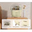 Polypropylene Makeup Organiser-1846242529