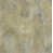 Beige / Brun sélectionné