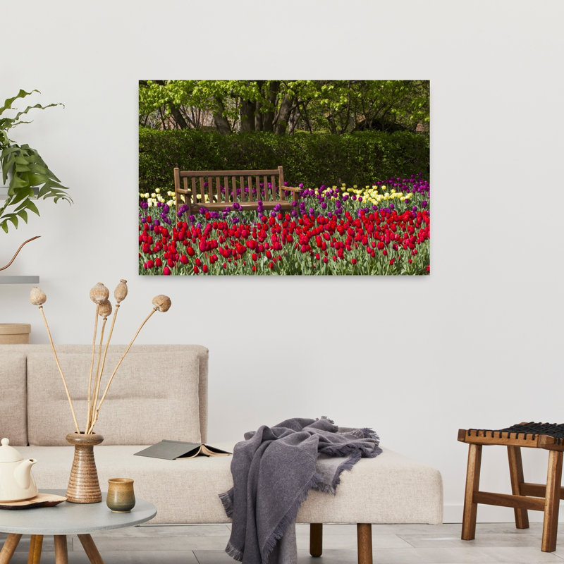 Gros plan sur un banc dans un lit de tulipes en fleurs dans un jardin, parc Cantigny, Wheaton, Illinois, tulipe aux États-Unis, art mural
