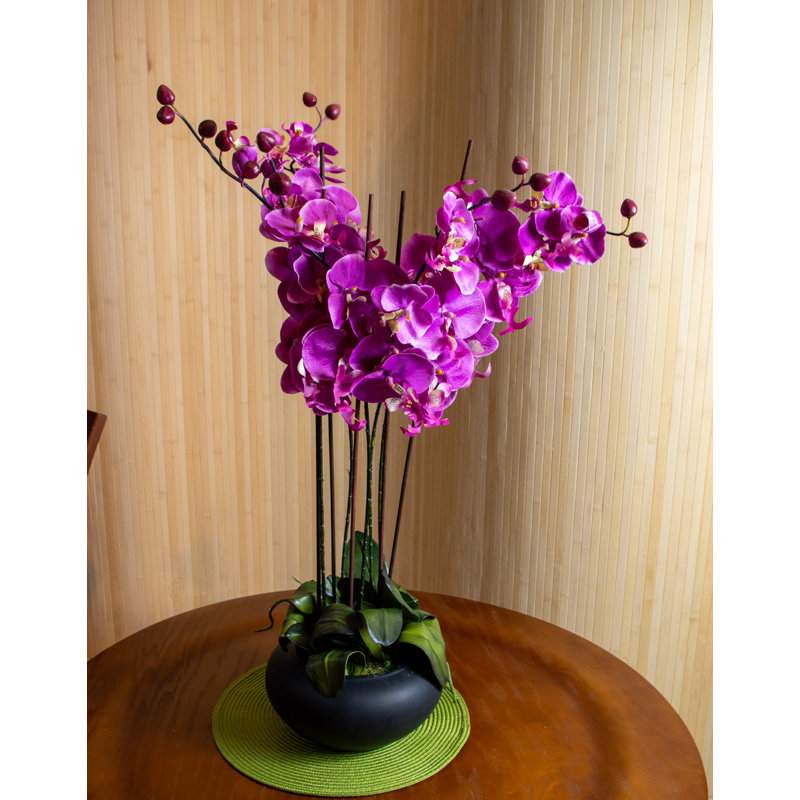 Orchid Arrangement in Vase