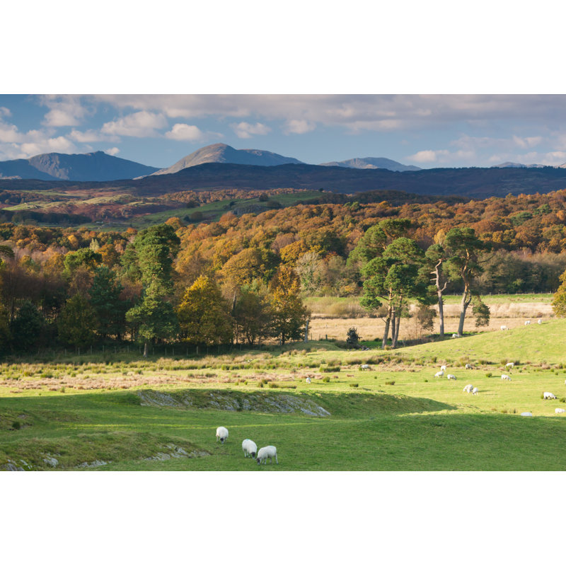 Weatherlam In Autumn by Award - Wrapped Canvas Print, 30cm H x 46cm W