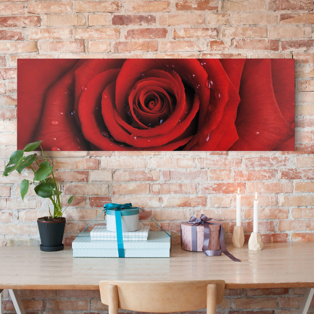 Leinwandbild Rote Rose mit Wassertropfen in Rot