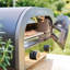 Statesman 13 Inch Electric Pizza Oven
