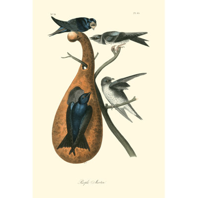 Purple Martin 1 Piece Wrapped Canvas Painting
