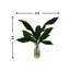 Rockwood Faux Aspidistra Plant in Glass Vase