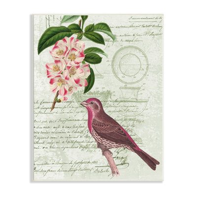 Rosier pinson par Daphne Polselli
