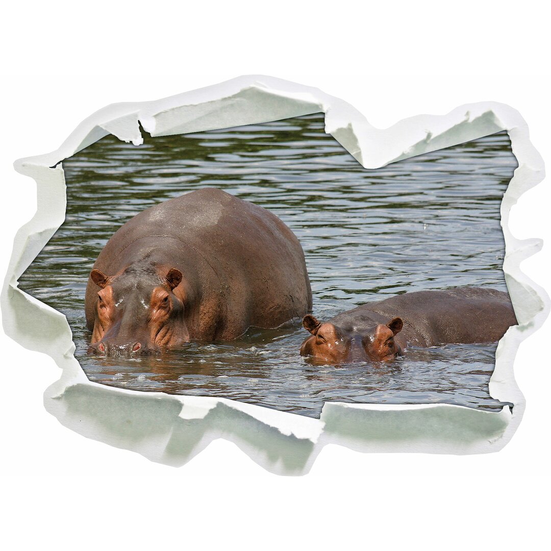 Zwei Nilpferde im Hochwasser Wandaufkleber