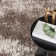 Almelo Performance Abstract Indoor Rug