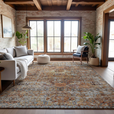 Premium Machine Washable Ducote AMF1143 Global Rug