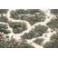 Papier peint jardin et jardin-1972529652-1972529655
