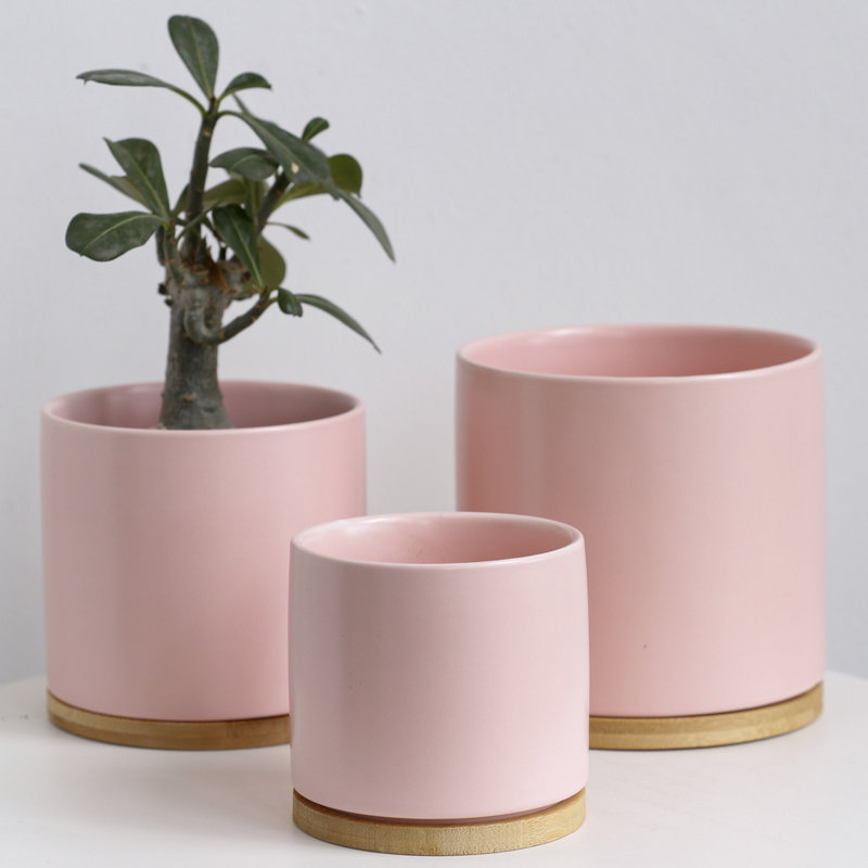 Pot à fleurs en céramique 2 pièces 4,5 po, Gris / Rose