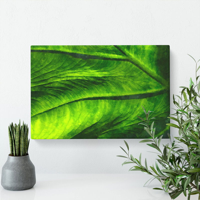 Veins Of A Green Leaf - Wrapped Canvas, 35cm H x 50cm W x 3cm D