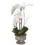 Real Touch White Phalaenopsis Orchids With Succulent In Silver Aged Metal Pot