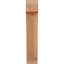 Attelle impériale du genou-29309856-87149212-31229277